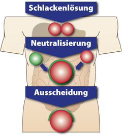 PowerPlate Fitnesstraining
